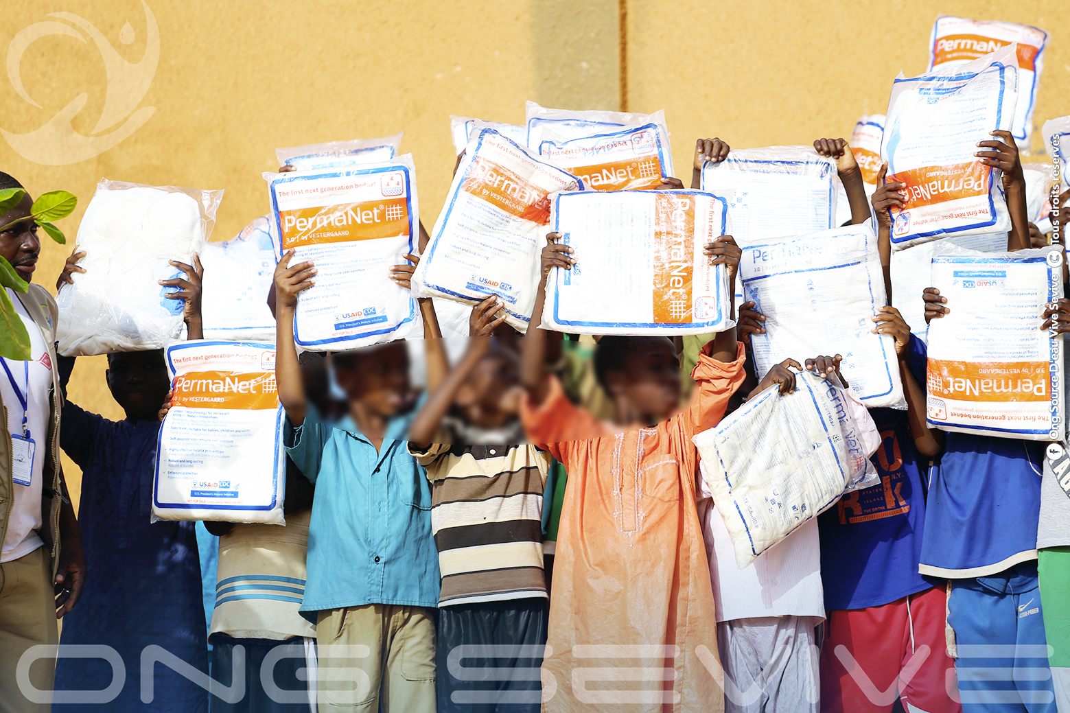 Projet Moustiquaires